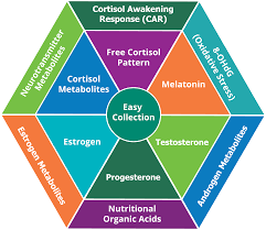 Stop oestrogen dominance 