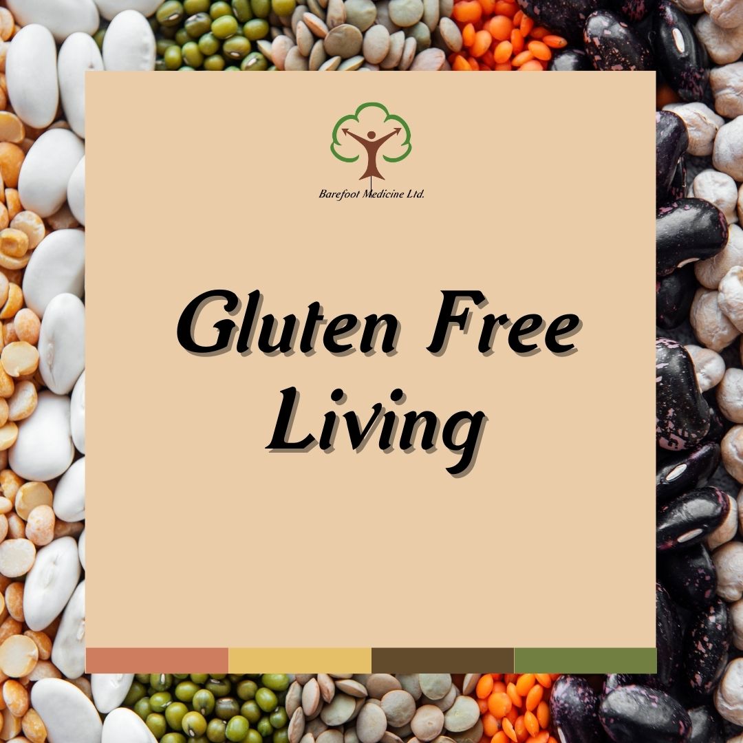 Functional Nutrition Courses Gluten Free Living