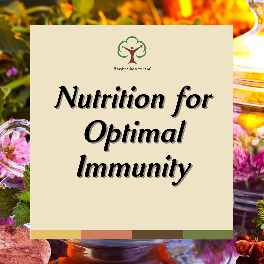 functional nutrition courses optimal immunity