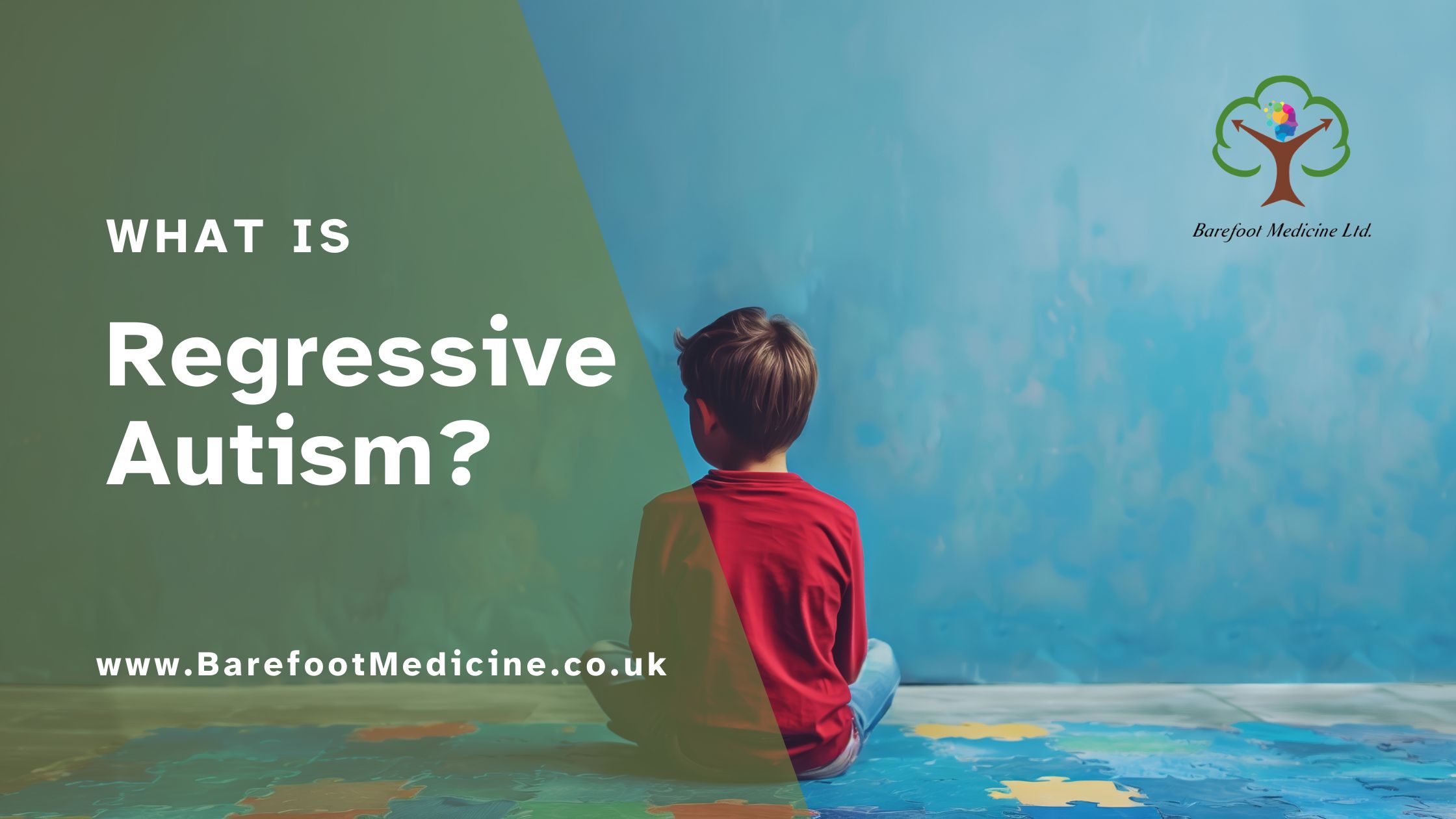 What is Regressive Autism